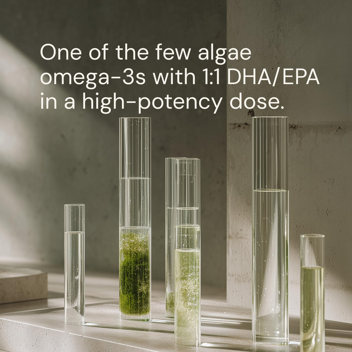 Blueprint Bryan Johnson Omega-3 Végétalien 800mg EPA/DHA capsules