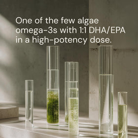 Blueprint Bryan Johnson Omega-3 Végétalien 800mg EPA/DHA capsules