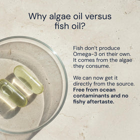 Blueprint Bryan Johnson Omega-3 Végétalien 800mg EPA/DHA côté