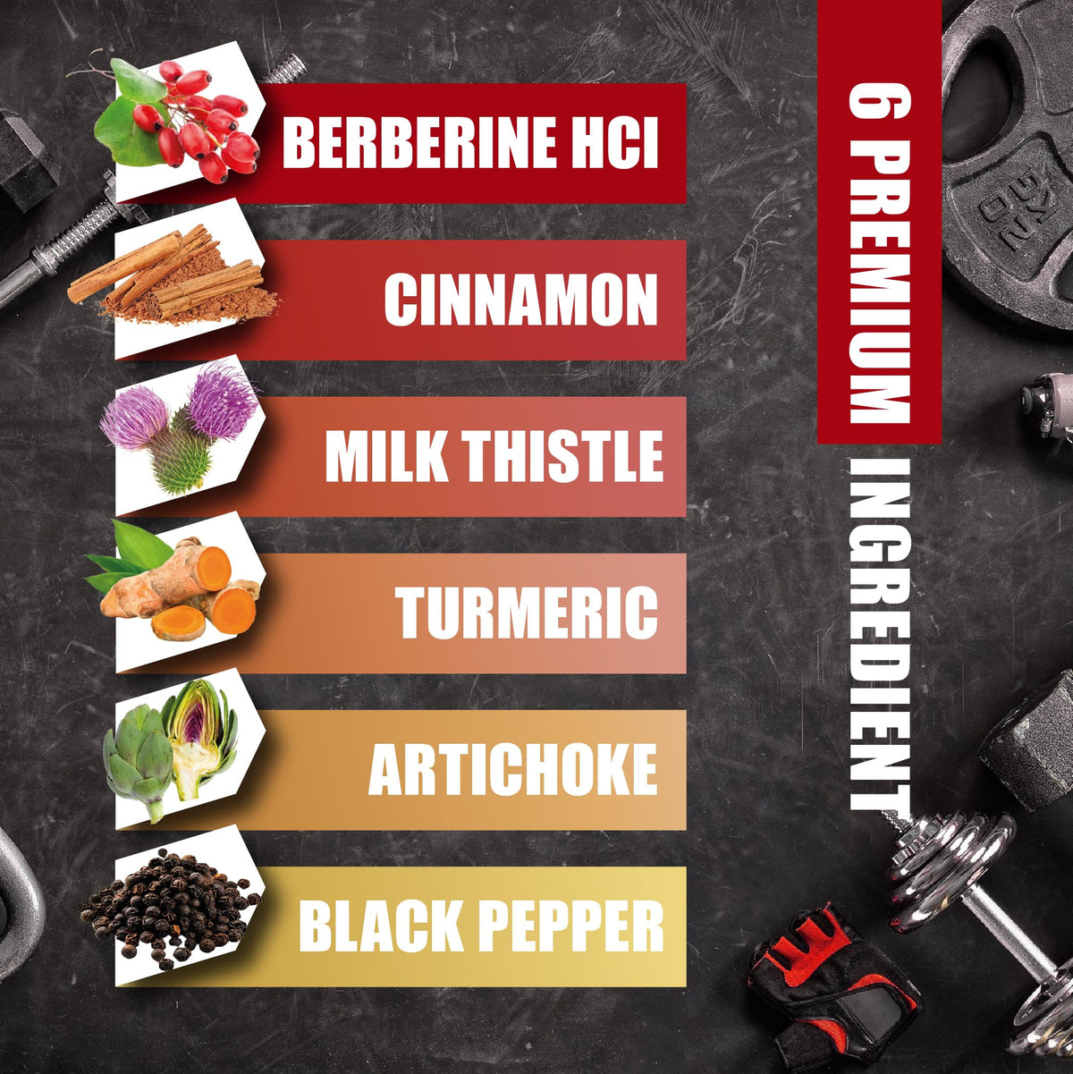 BMVINVOL Complément Alimentaire Berbérine ingrédients listés