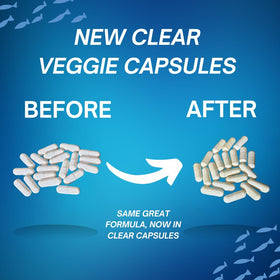 BOB'S BEST Coral Calcium capsules dans une main