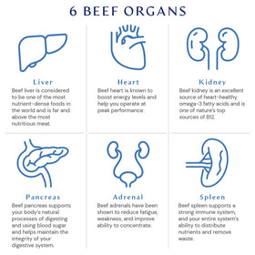 BodyHealth Organ+ complément alimentaire avec ingrédients listés