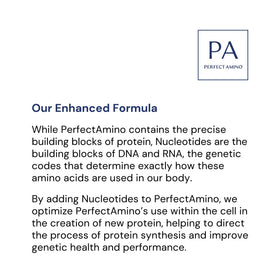 BodyHealth PerfectAmino Poudre vanille 30 portions en utilisation