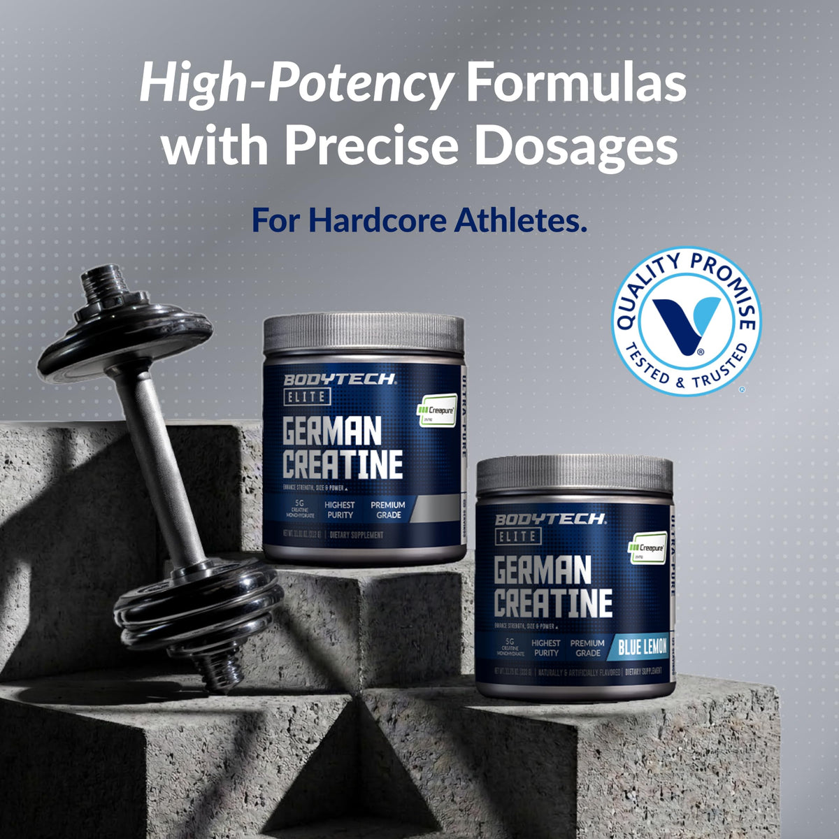 BodyTech Créatine Creapure 60 Portions avec d'autres compléments