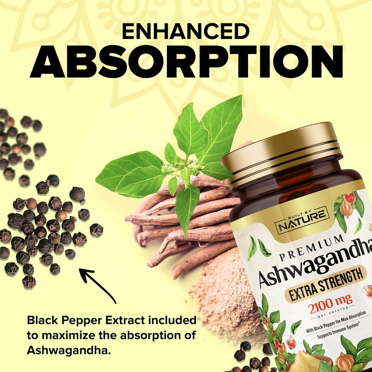 Boîte de 60 capsules d'Ashwagandha 2100mg, côté