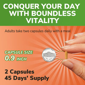 Boîte de 90 capsules de racine de maca Vitalibre