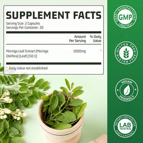 Boîte de capsules de Moringa Nature Echo vue de face