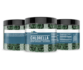 Boîte de chlorella Earthborn Elements montrant les dimensions