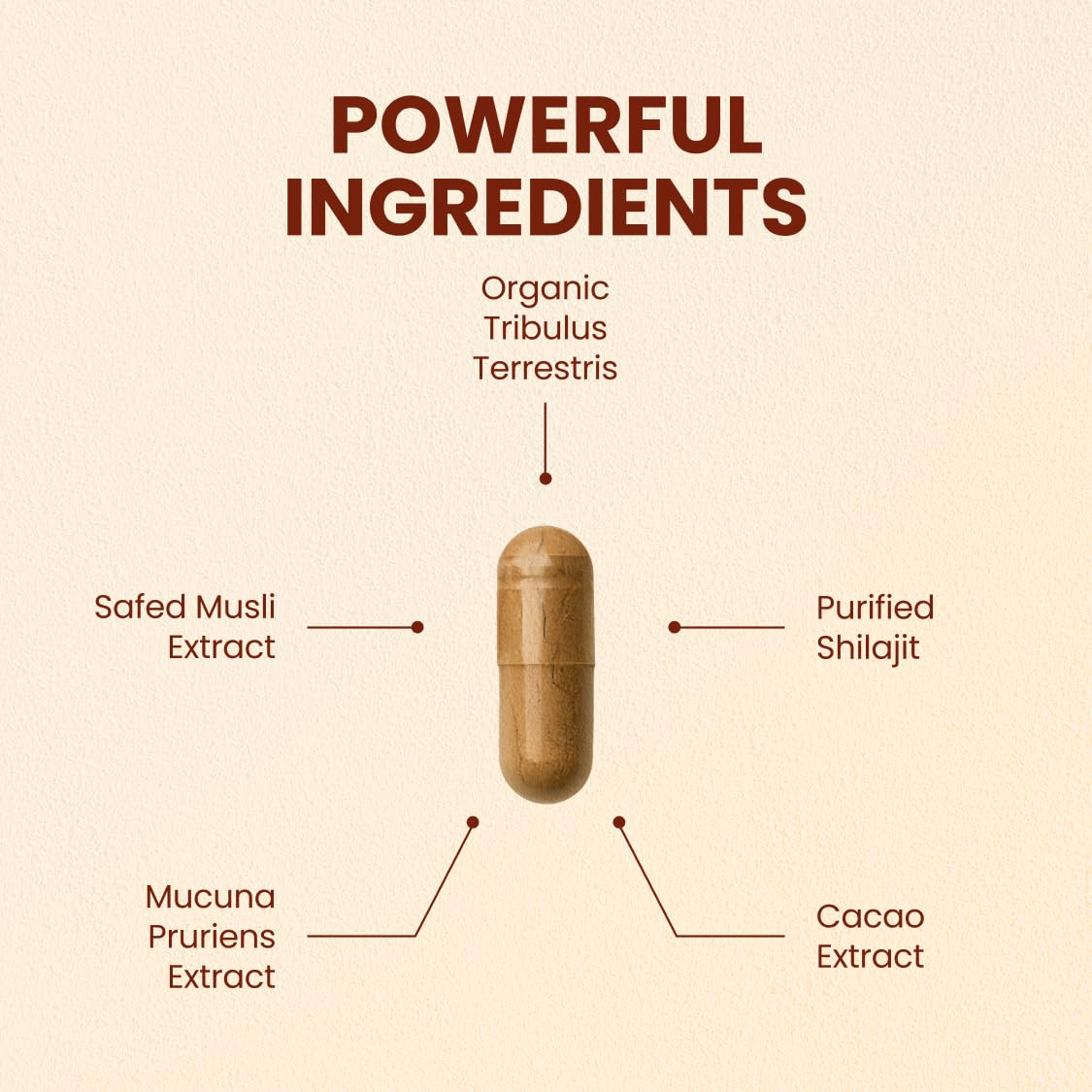 Boîte de CHOQ Daily 500mg Shilajit Purifié avec ingrédients
