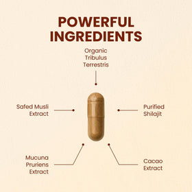 Boîte de CHOQ Daily 500mg Shilajit Purifié avec ingrédients