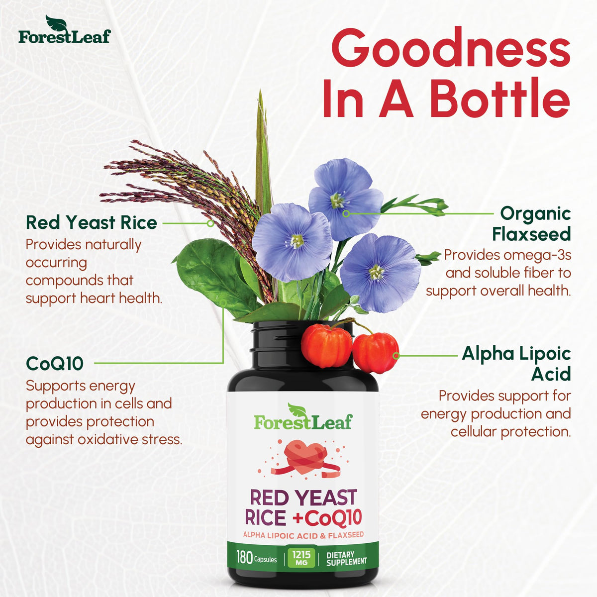 Boîte de complément alimentaire Riz Rouge ForestLeaf