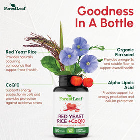 Boîte de complément alimentaire Riz Rouge ForestLeaf