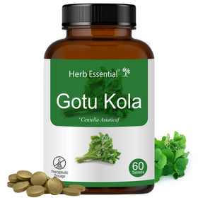 Boîte de comprimés Herb Essential Gotu Kola 500mg vue de face