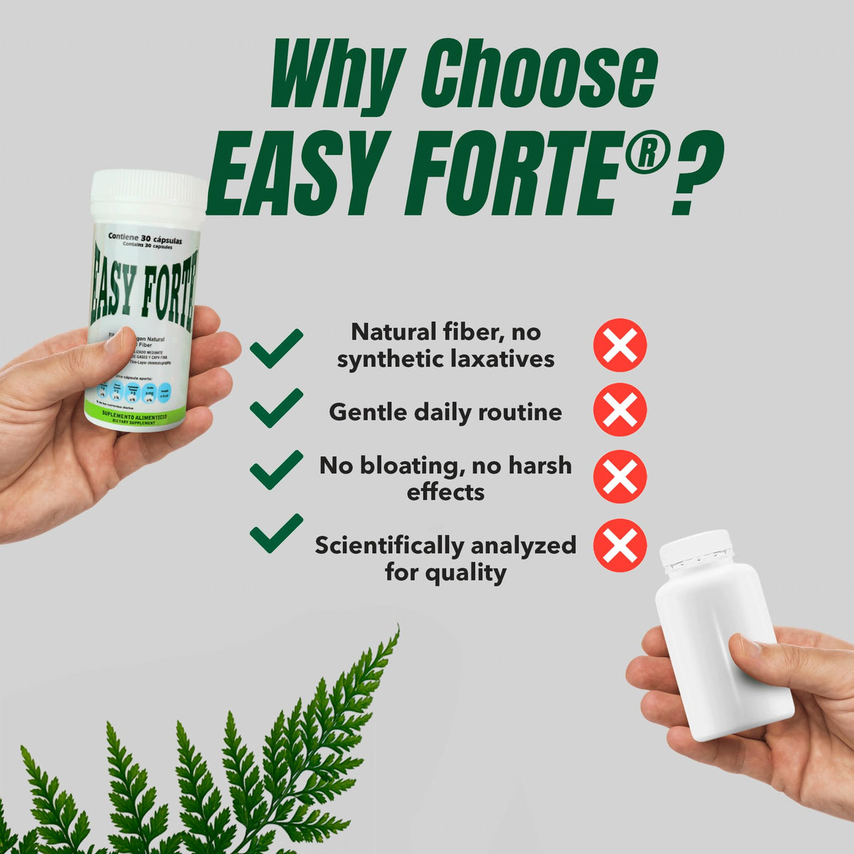 Boîte de Easy Forte ouverte montrant les capsules