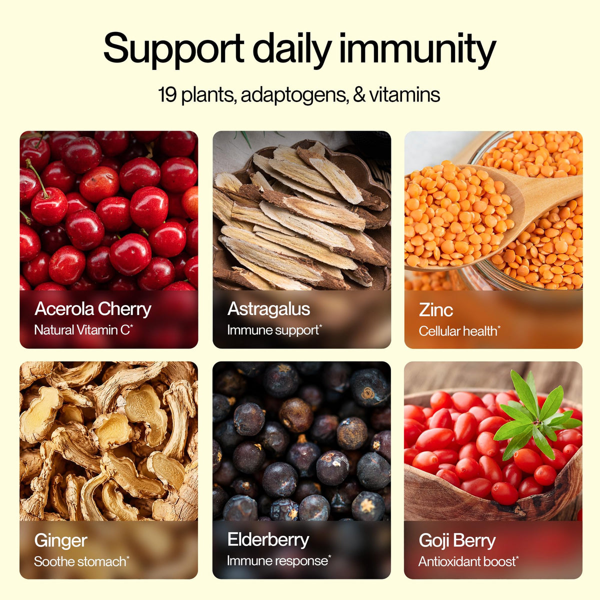 Boîte de Feel Goods daily wellness+ avec sachets à l'intérieur