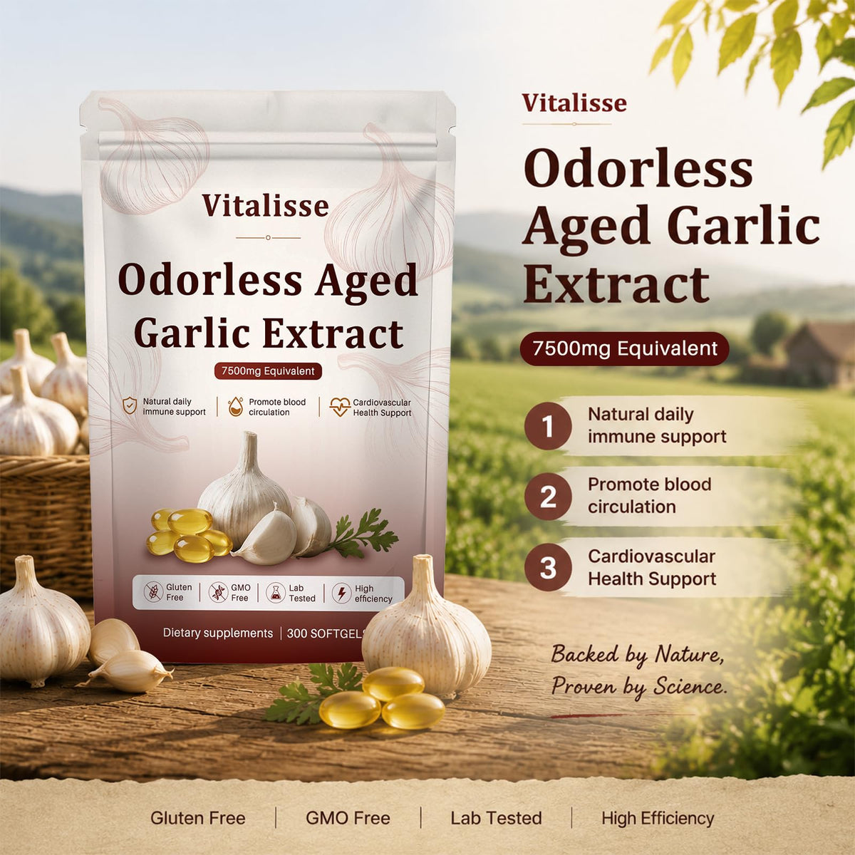 Boîte de gélules d'ail envejecido vitalisse avec 300 gélules