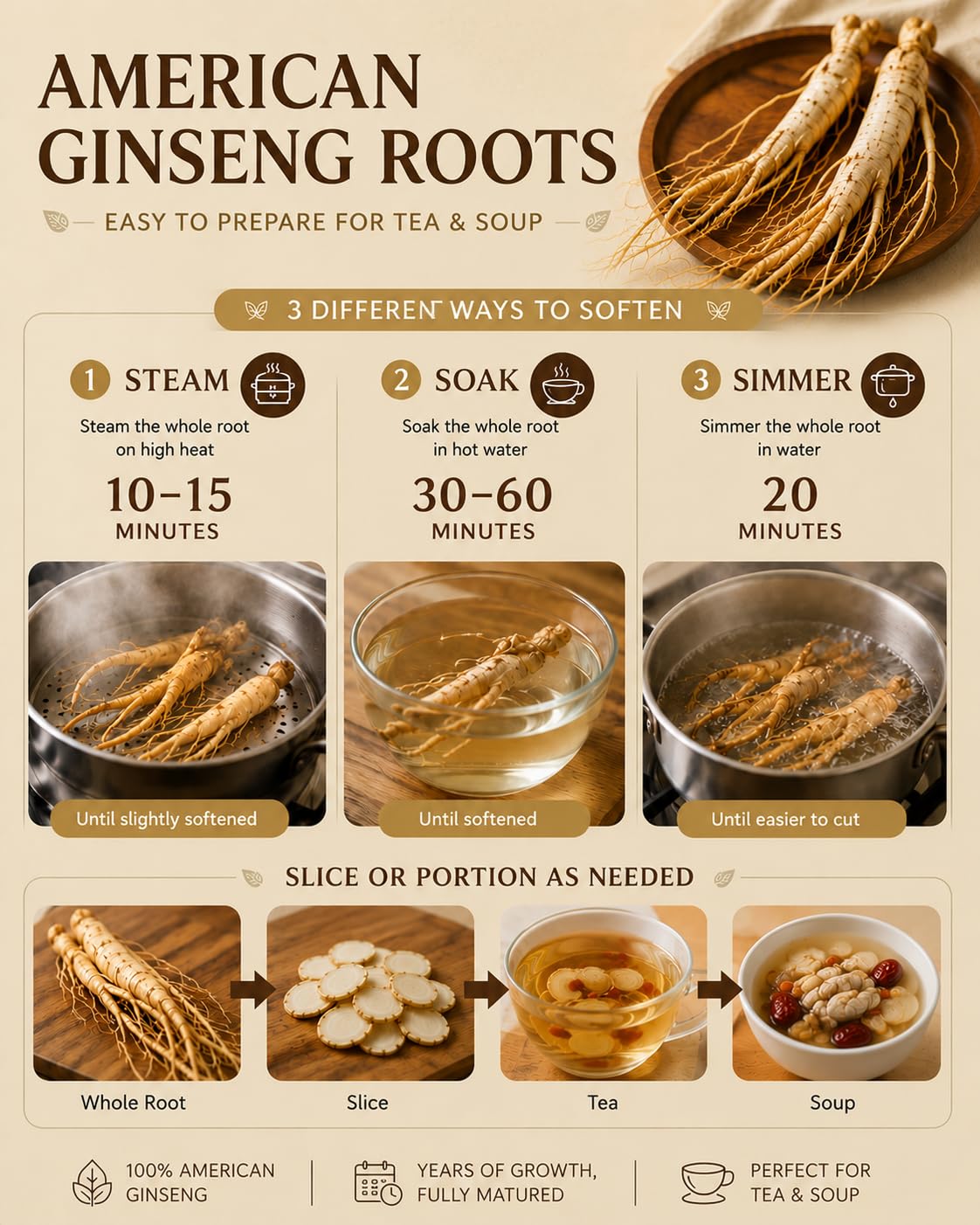 Boîte de ginseng HLX ouverte avec racines à l'intérieur