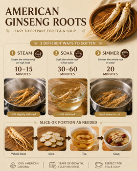 Boîte de ginseng HLX ouverte avec racines à l'intérieur