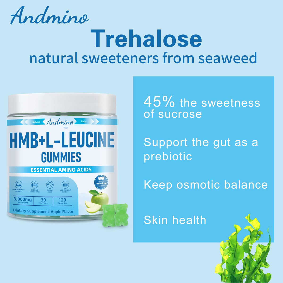 Boîte de gummies andmino HMB et L-Leucine 3000mg sur une table