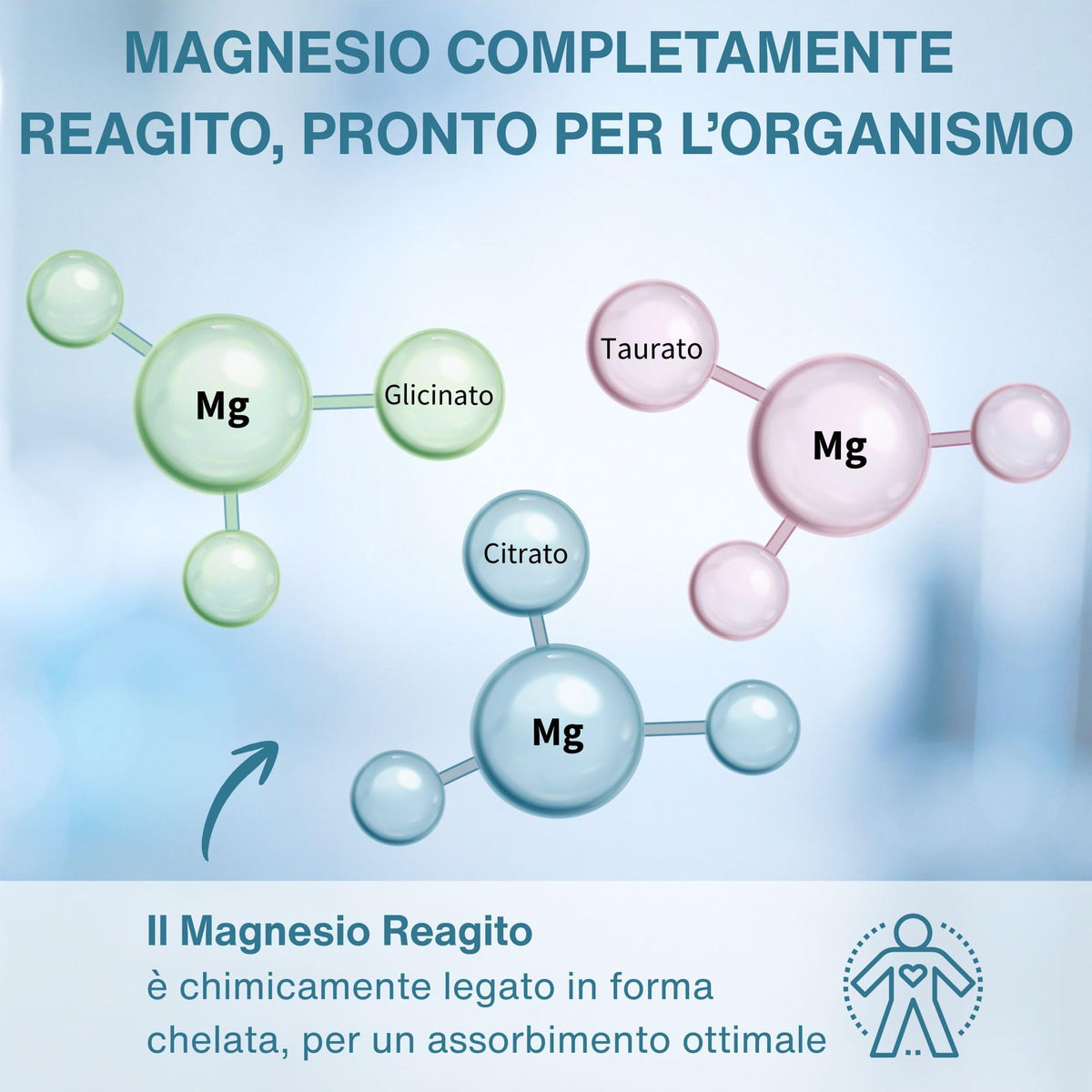 Boîte de Igennus Triple Magnesium Complex avec étiquette