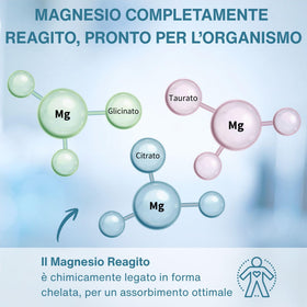 Boîte de Igennus Triple Magnesium Complex avec étiquette