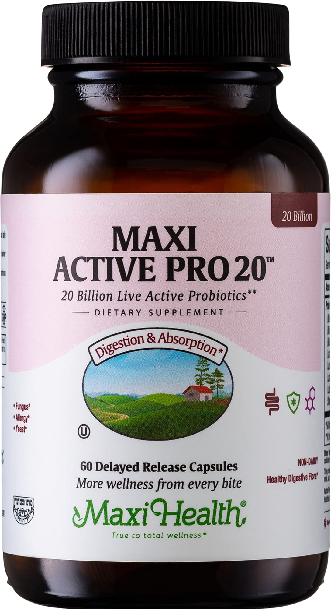 Boîte de Maxi Health Probiotiques 20 Milliards CFU 60 Capsules vue de face