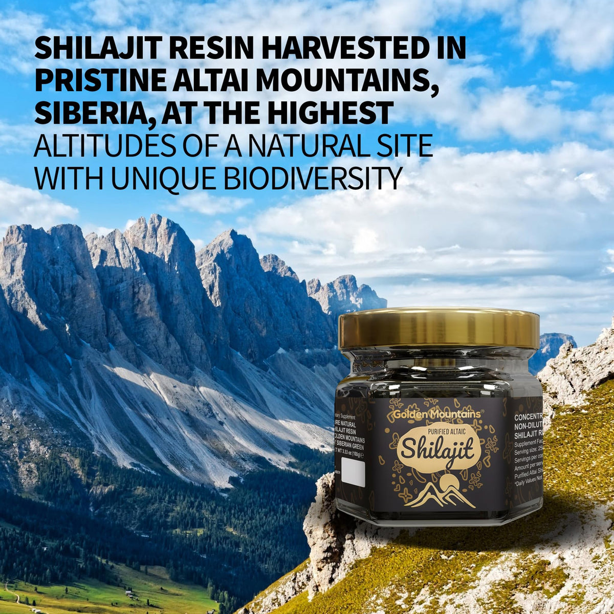 Boîte de résine de shilajit avec cuillère doseuse incluse