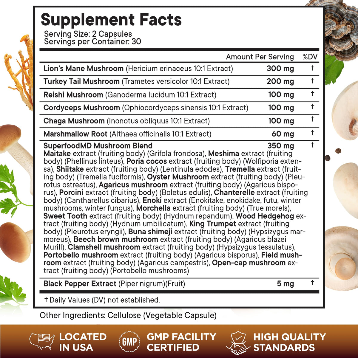 Boîte de Superfood MD Champignon Lion avec Racine de Guimauve