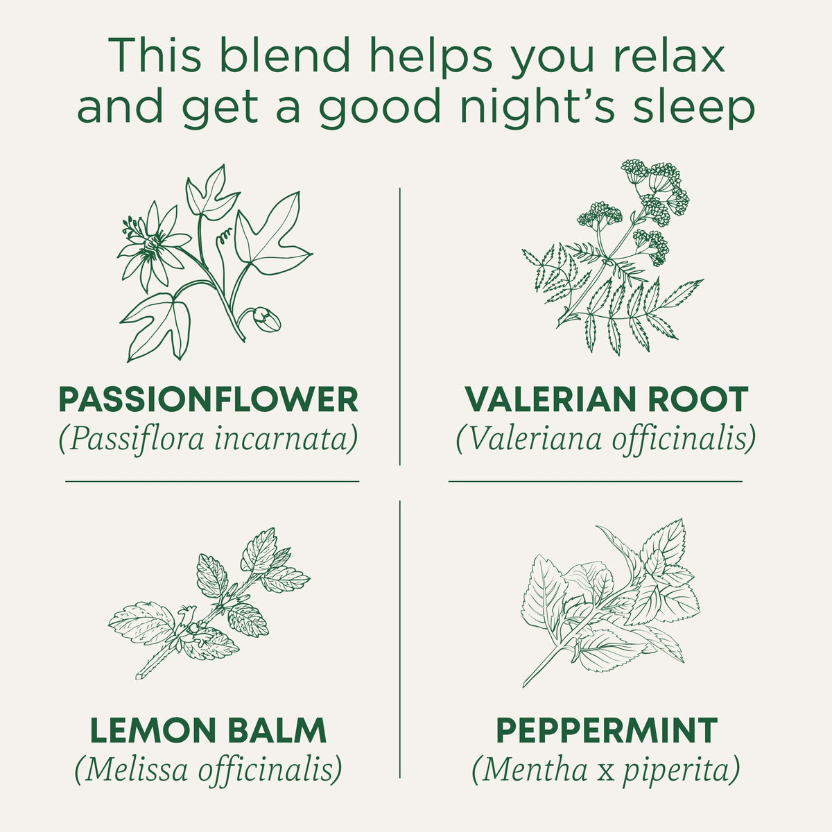 Boîte de Traditional Medicinals Tisane Nighty Night Extra avec sachets visibles
