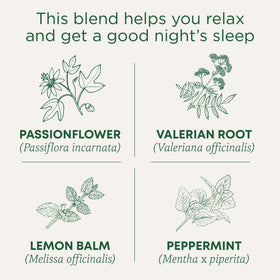 Boîte de Traditional Medicinals Tisane Nighty Night Extra avec sachets visibles