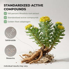 Boîte des capsules de Rhodiola Rosea Salvora sur une table