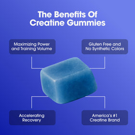 Boîte des Gummies Créatine Monohydrate Optimum Nutrition