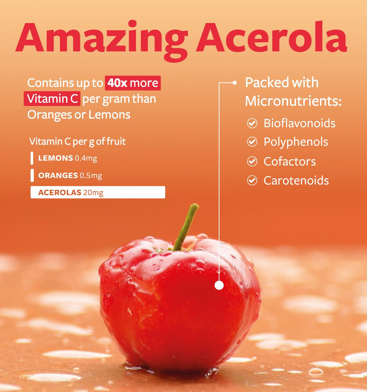Boîte du complément alimentaire Vitamine C Bio PURE CO, vue latérale