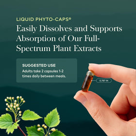 Boîte Gaia Herbs Nootropic Focus avec description