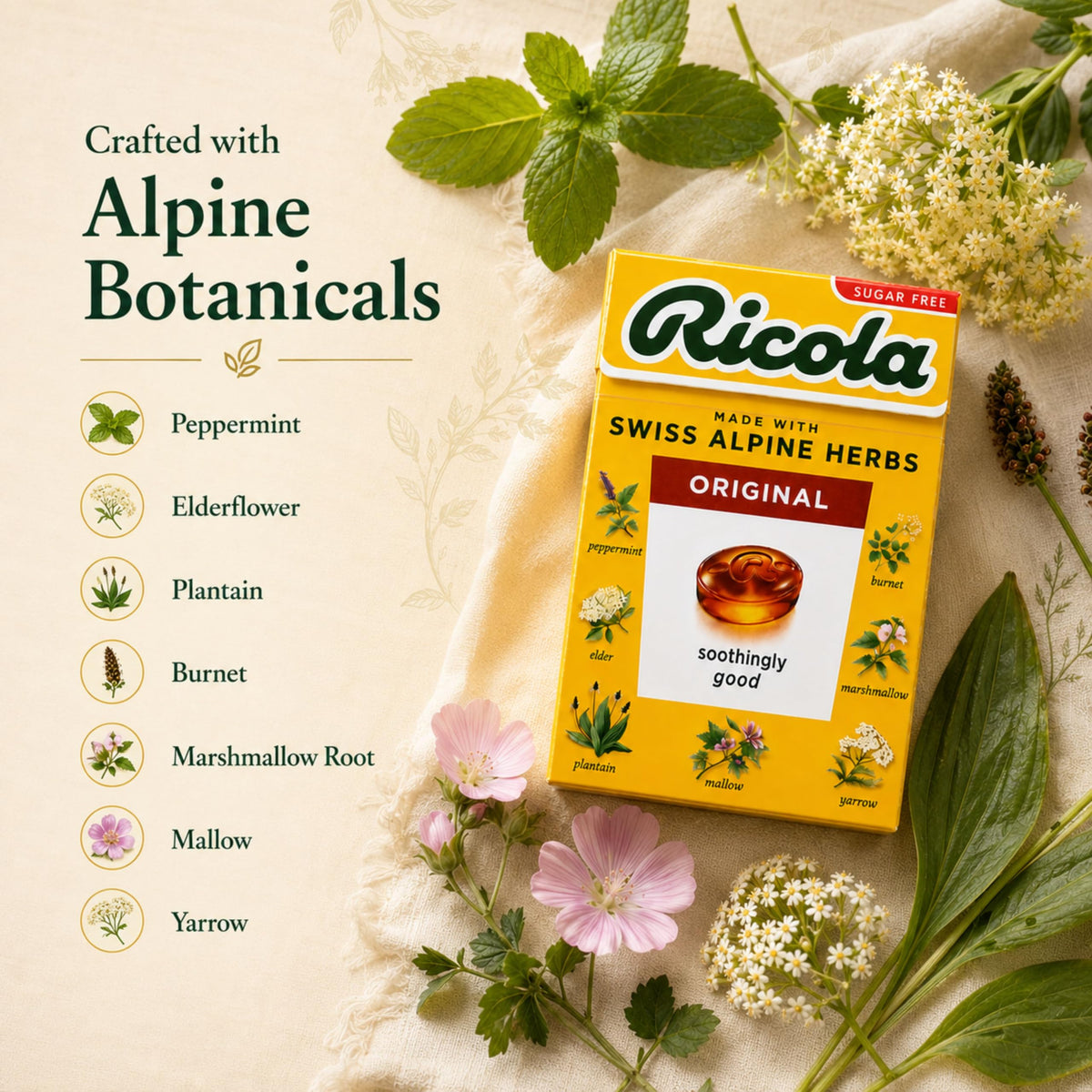 Bonbons Ricola aux herbes dans une main