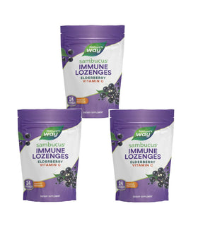 Bonbons Sambucus Nature's Way au goût tropical, paquet de 24 unités