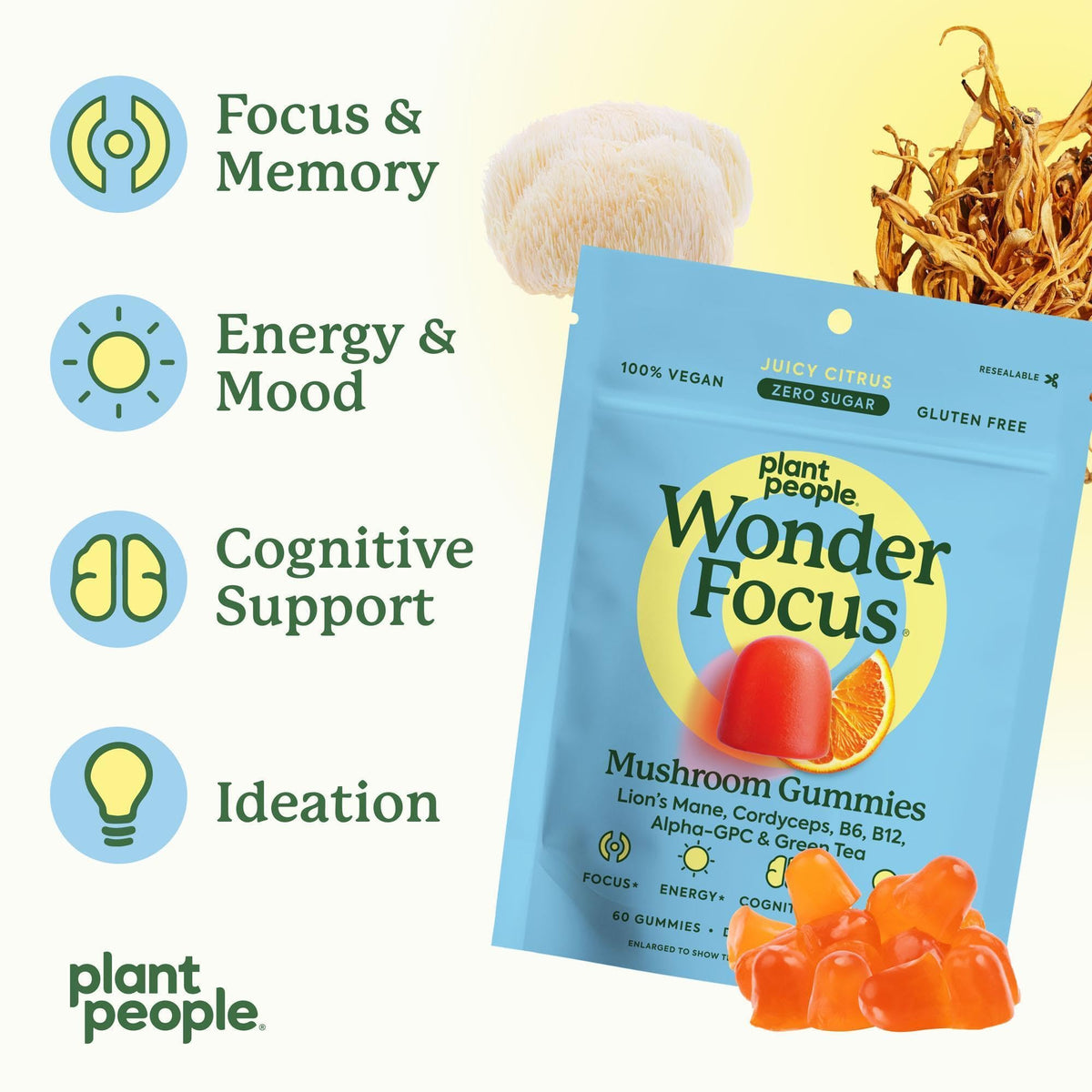 Bonbons WonderFocus, détail du contenu en champignons et herbes