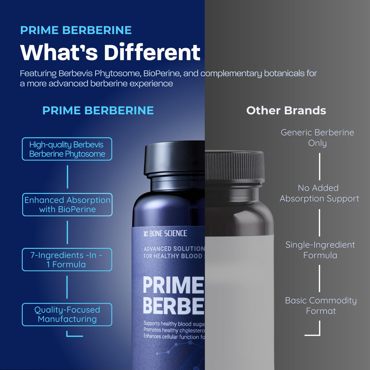 BONE SCIENCE Berberine Phytosome 50g mise en scène avec des ingrédients