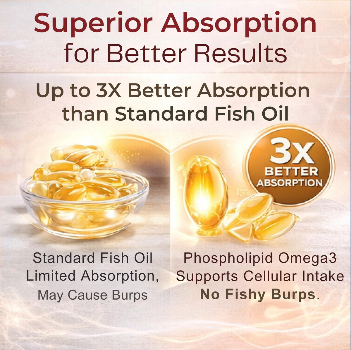 Bordin Health Omega-3 Complex Elite Phospholipid 231g en contexte de vie saine