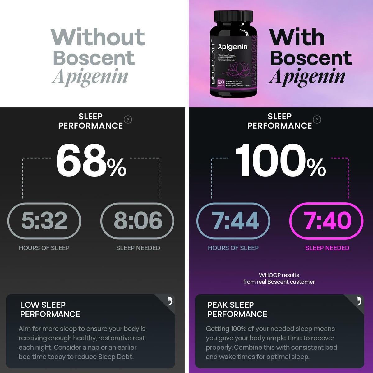 BOSCENT Apigenin 100mg capsules ouvertes montrant le contenu