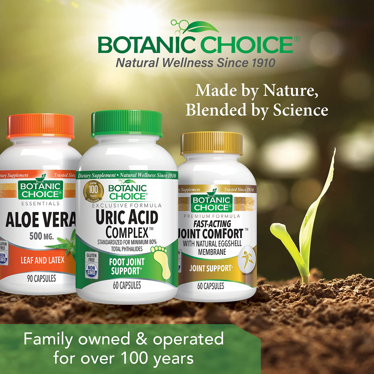 Botanic Choice Complexe Uric Acid 60 capsules sur fond blanc