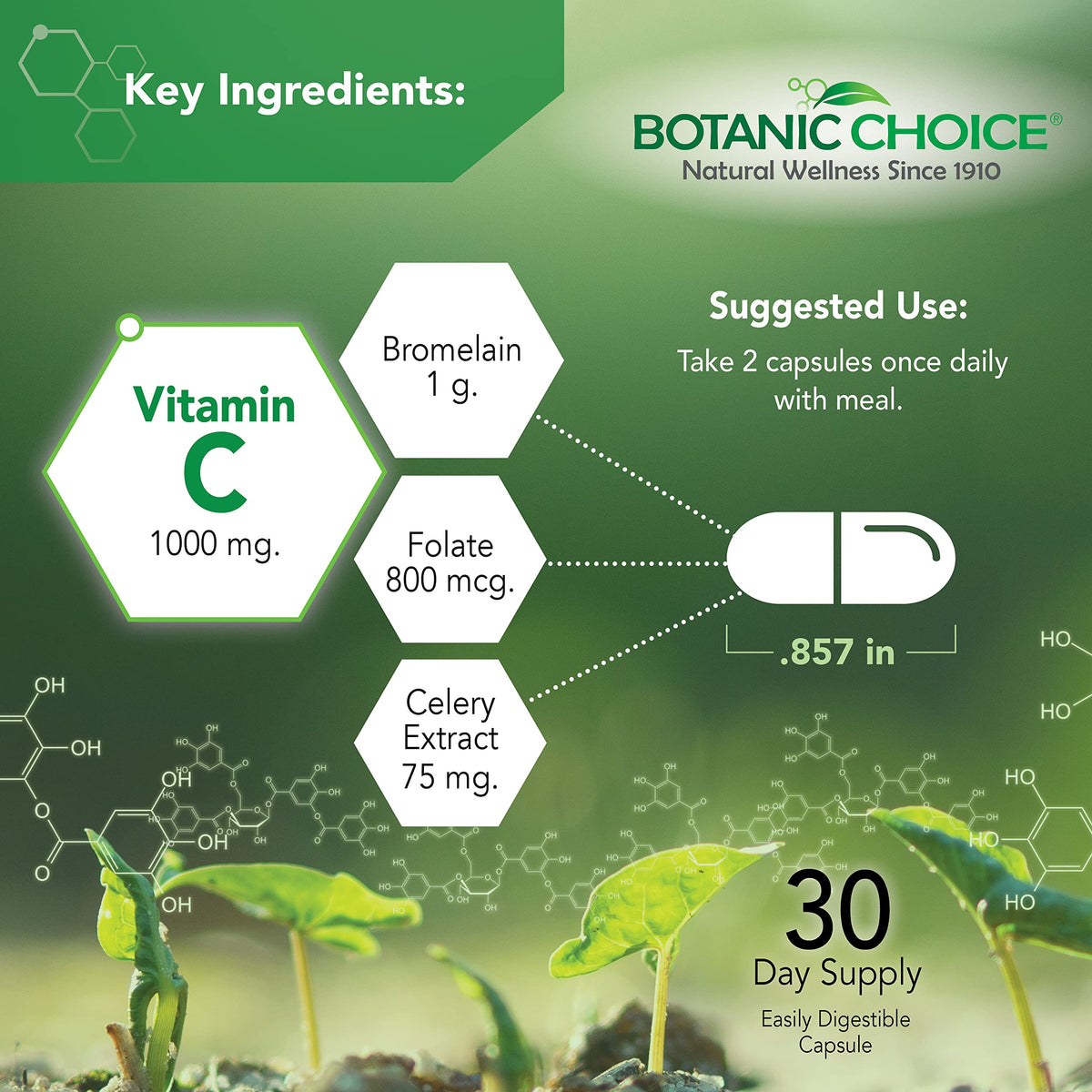 Botanic Choice Complexe Uric Acid 60 capsules sur une table