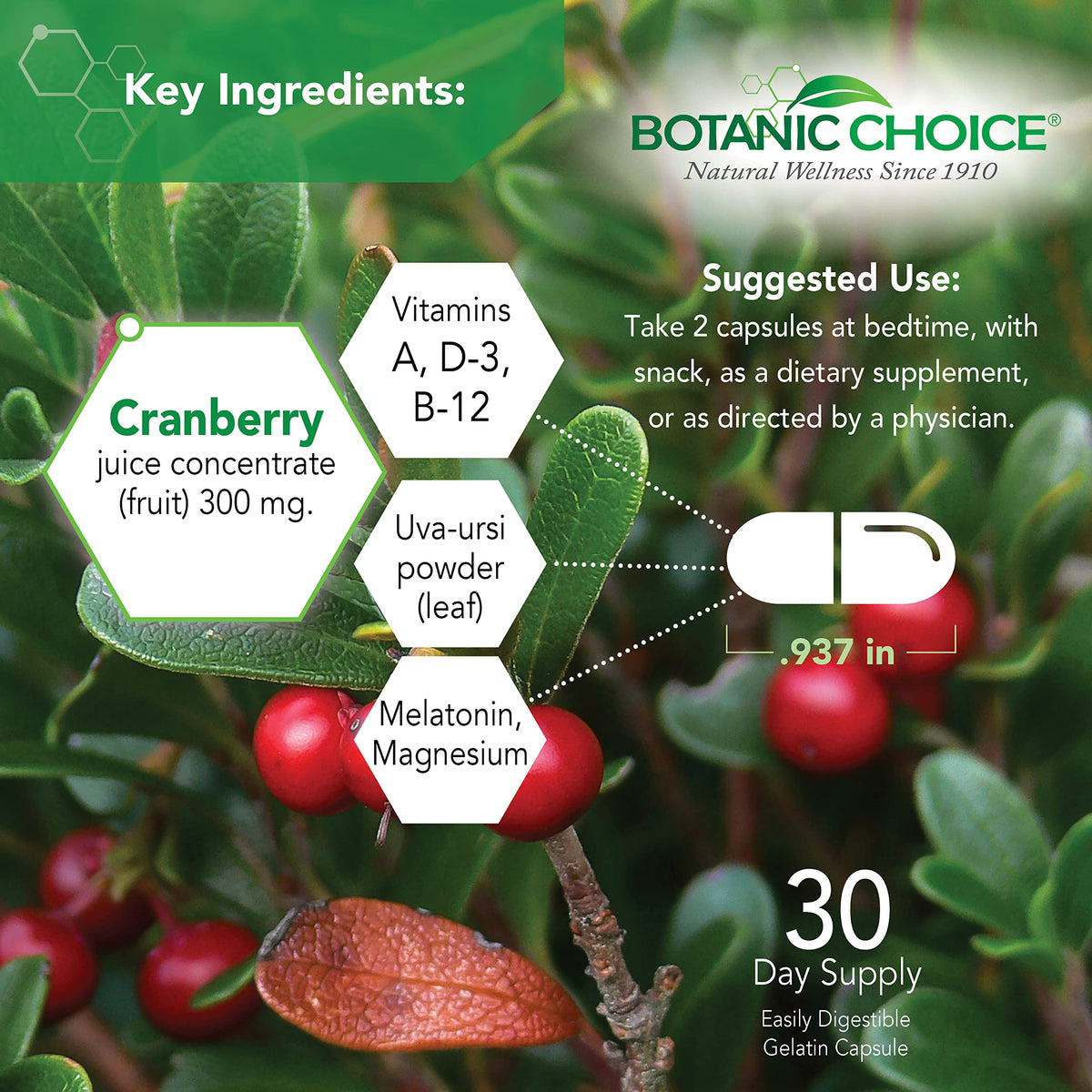 Botanic Choice Formule Avancée Urinaire 60 Capsules avec étiquette