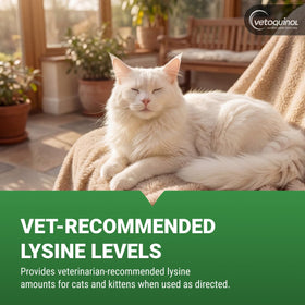 Bouchées de L-Lysine Enisyl-F à côté d'un chat