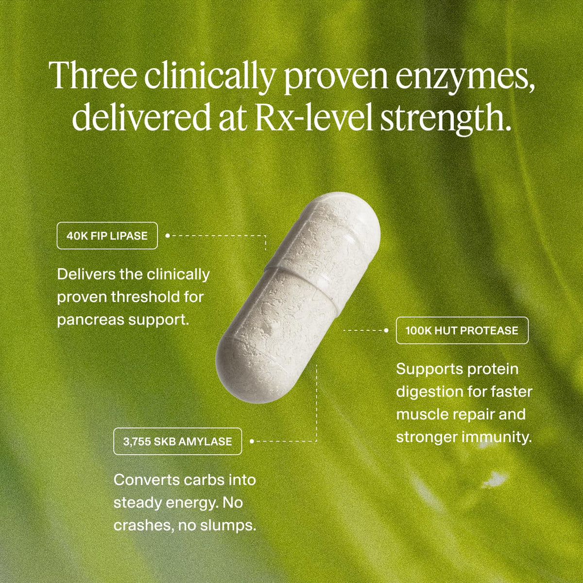 Boulder Bio Enzymes daily vue arrière de la bouteille