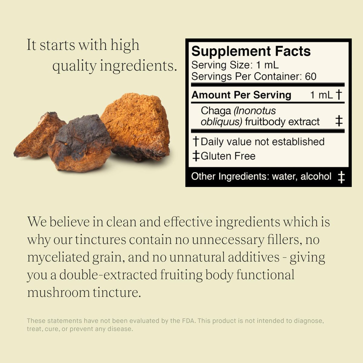 Bouteille d'extrait de champignon Chaga UPHORIC URTH sur un fond en bois