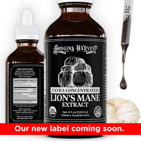 Bouteille d'extrait de Lion's Mane sur une table en bois
