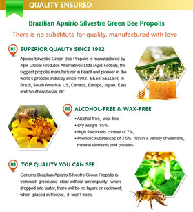 Bouteille d'extrait de propolis verte brésilienne Apiario Silvestre sur fond blanc