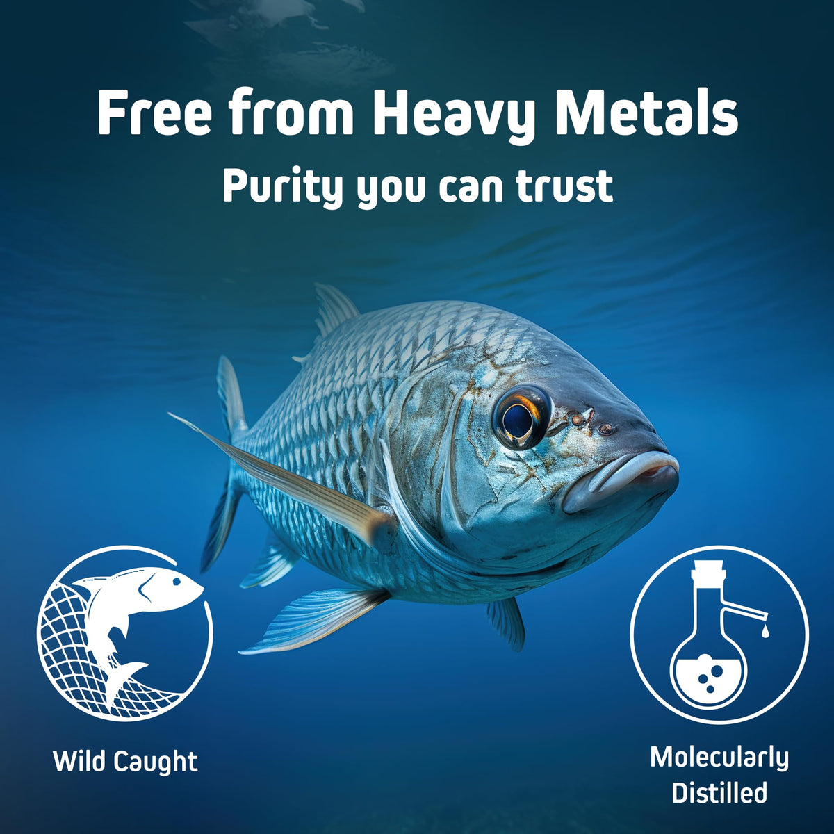 Bouteille d'huile de poisson Omega 3 Herbtonics ouverte avec gélules à l'intérieur