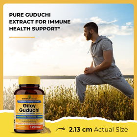 Bouteille de 120 capsules SANDHUHERBALS Giloy sur une table
